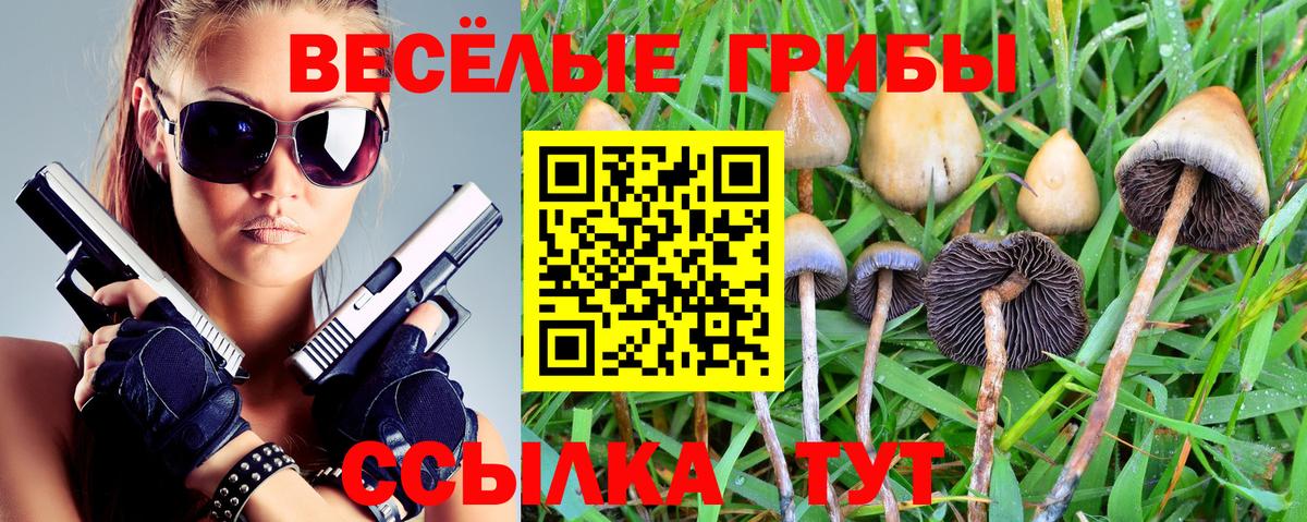 Псилоцибиновые грибы ЛСД  цена наркотик  Муром  Псилоцибиновые грибы прущие грибы  Вход с VPN 